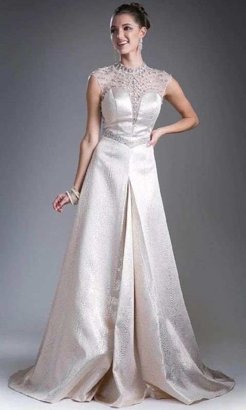 Overstock Sale Ladivine 13557 - High Neck Illusion A-Line Gown